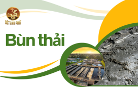 Dịch vụ xử lý Bùn thải