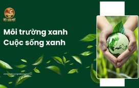 Môi trường xanh – Cuộc sống xanh