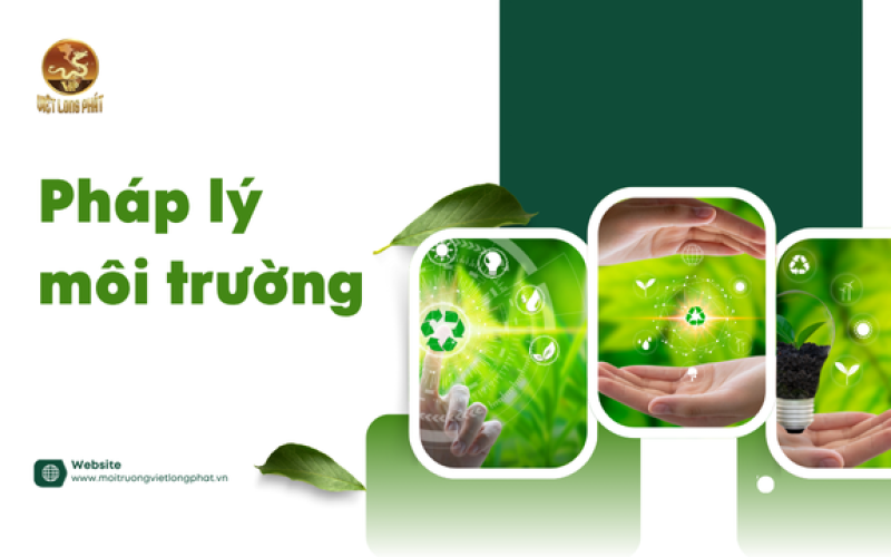 Pháp lý môi trường