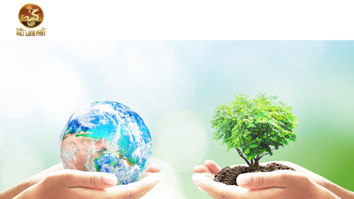 Về CÔNG TY TNHH MÔI TRƯỜNG VIỆT LONG PHÁT