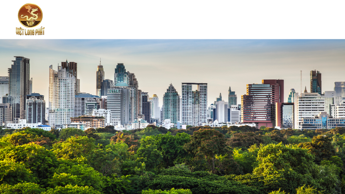 Tầm Quan Trọng Của Đánh Giá Tác Động Môi Trường tại việt long phát