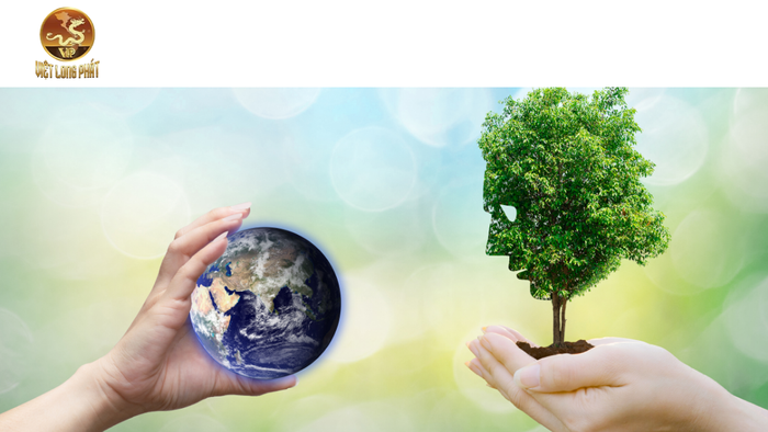 Các Lý Do Cần Đánh Giá Tác Động Môi Trường tại việt long phát