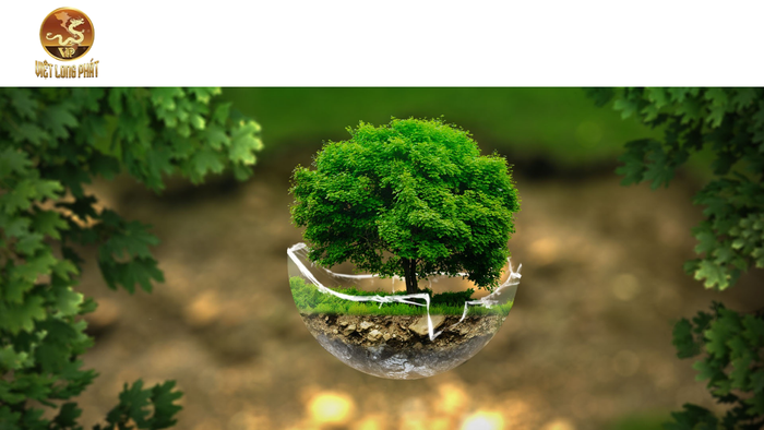 Quy Trình Đánh Giá Tác Động Môi Trường tại việt long phát