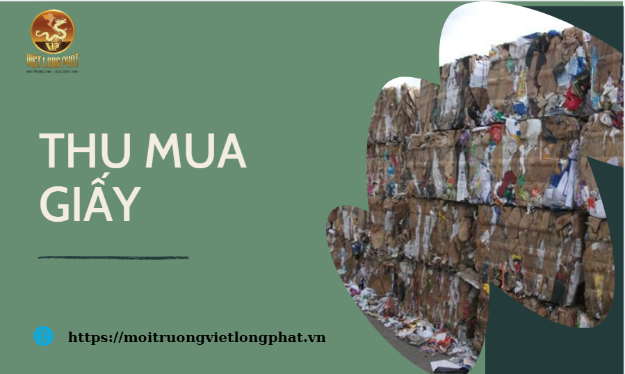 thu mua giấy tại Việt Long Phát