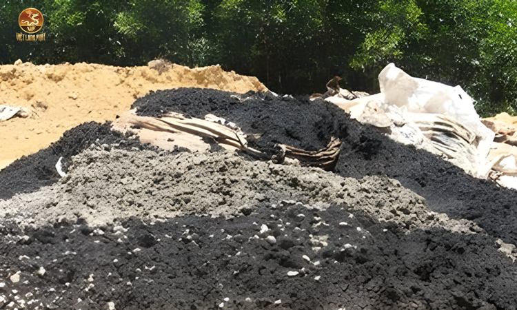 Bùn Thải Là Gì? tại việt long phát