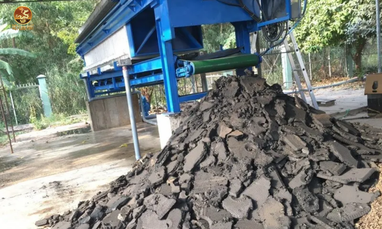 Các Dịch vụ xử lý Bùn thải tại việt long phát