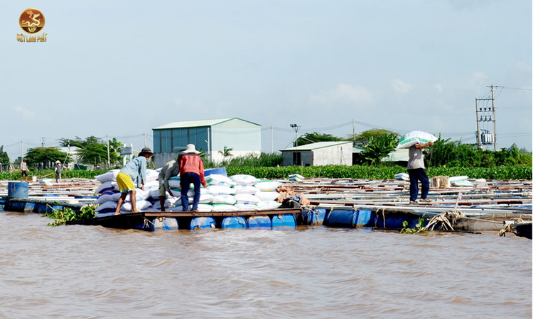 Tác Động Của Ô Nhiễm Đối Với Môi Trường và Con Người tại việt long phát