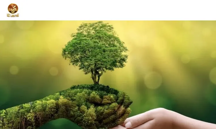 Môi Trường Xanh – Cuộc Sống Xanh: Con Đường Hướng Tới Tương Lai Bền Vững tại việt long phát