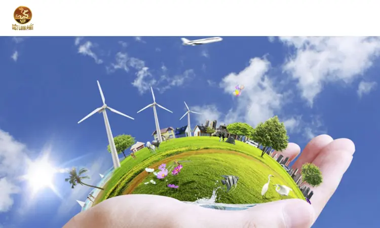 Tầm Quan Trọng Của Môi Trường Xanh – Cuộc Sống Xanh tại việt long phát