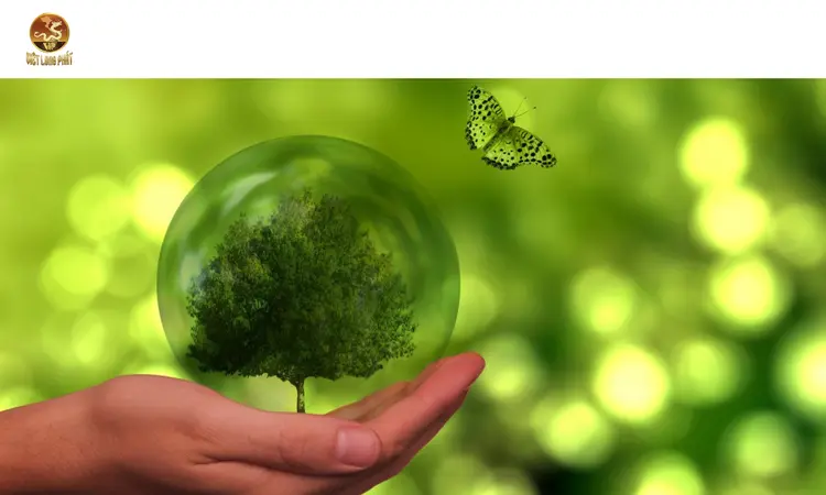 Các Yếu Tố Cấu Thành Môi Trường Xanh – Cuộc Sống Xanh tại việt long phát