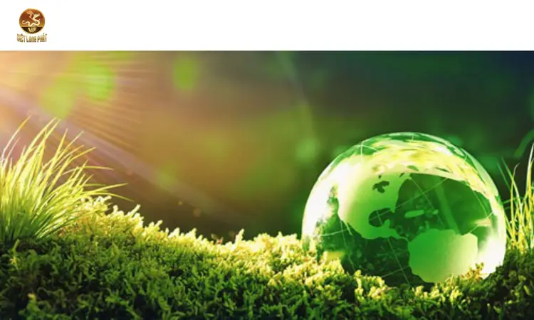 Các Giải Pháp Từ CÔNG TY TNHH MÔI TRƯỜNG VIỆT LONG PHÁT tại việt long phát