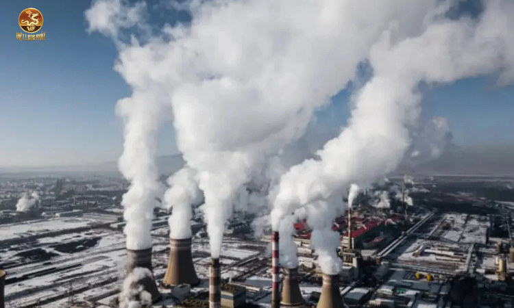 Nguyên Nhân Của Ô Nhiễm Không Khí tại việt long phát