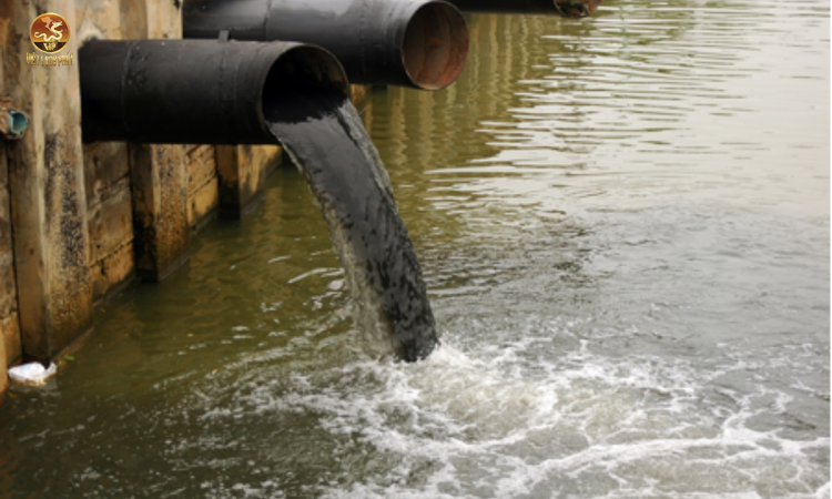 Tác Động Của Ô Nhiễm Nước Thải Đối Với Môi Trường tại việt long phát