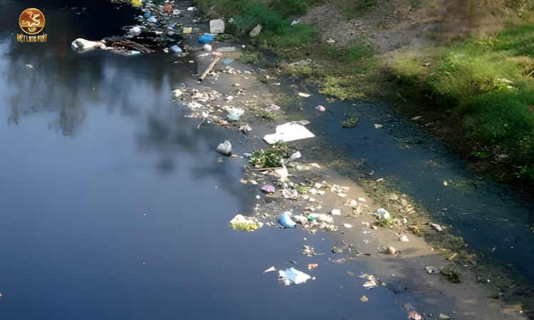 Giải Pháp Xử Lý Ô Nhiễm Nước Thải tại việt long phát