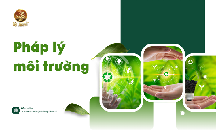 Pháp lý môi trường: Tầm quan trọng và các quy định cần biết tại việt long phát