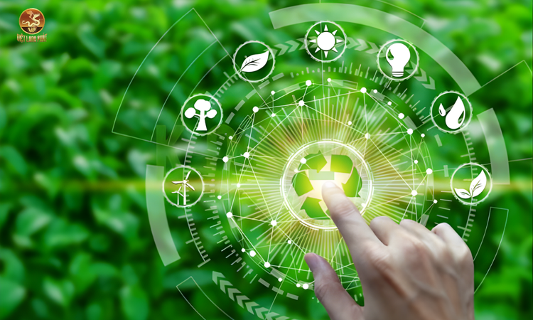 Các quy định pháp lý cơ bản về môi trường tại việt long phát