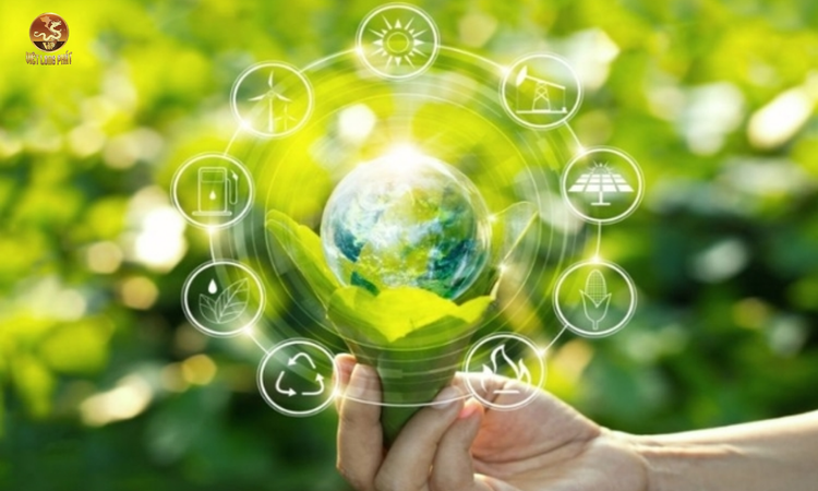 Vai trò của các công ty môi trường trong việc hỗ trợ pháp lý tại việt long phát