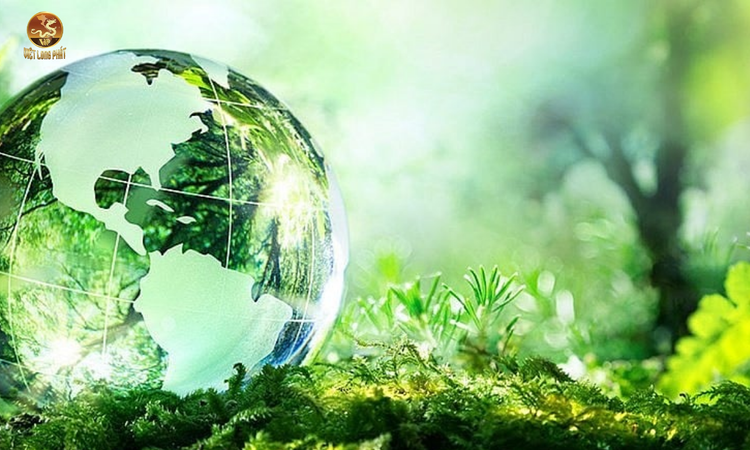 Quy trình hỗ trợ pháp lý môi trường tại CÔNG TY TNHH MÔI TRƯỜNG VIỆT LONG PHÁT