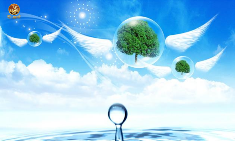 Tầm Quan Trọng của Tài Nguyên Nước tại việt long phát