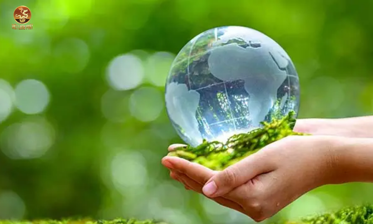 Các Vấn Đề Đang Đối Mặt Với Tài Nguyên Nước tại việt long phát