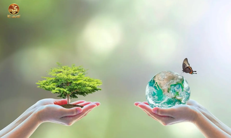 Giải Pháp Bảo Vệ Tài Nguyên Nước Bền Vững tại việt long phát