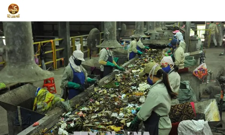 Các Phương Pháp Thu Gom Và Xử Lý Chất Thải tại việt long phát