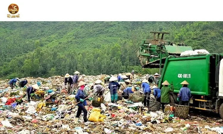 Các Giải Pháp Thu Gom Xử Lý Chất Thải Giá Cạnh Tranh tại việt long phát