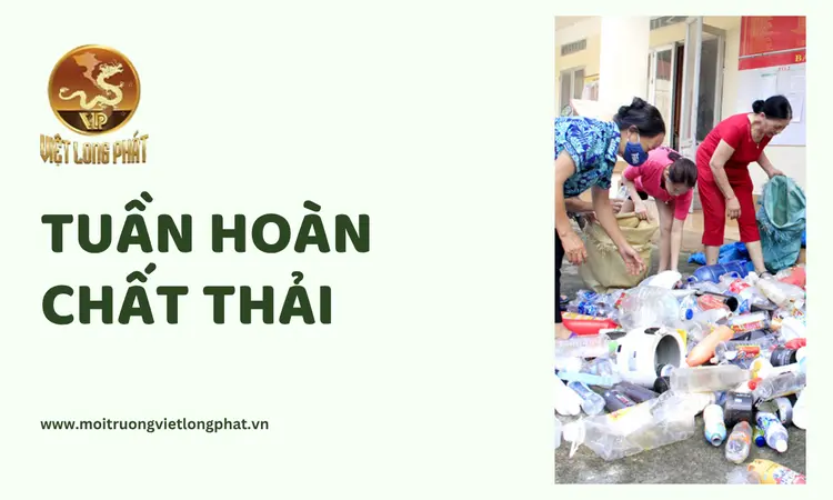 Tuần Hoàn Chất Thải: Giải Pháp Bền Vững Cho Môi Trường Và Kinh Tế tại việt long phát