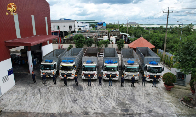 Về CÔNG TY TNHH MÔI TRƯỜNG VIỆT LONG PHÁT 