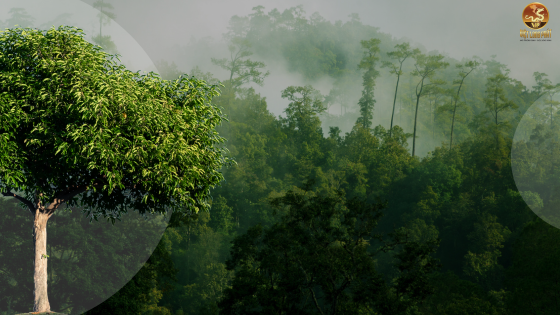 Đội ngũ chuyên gia giàu kinh nghiệm